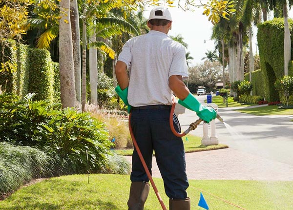 About Auburn NY Pest Control